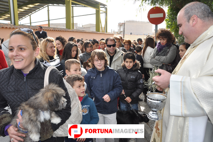 San Anton 2013 en Fortuna